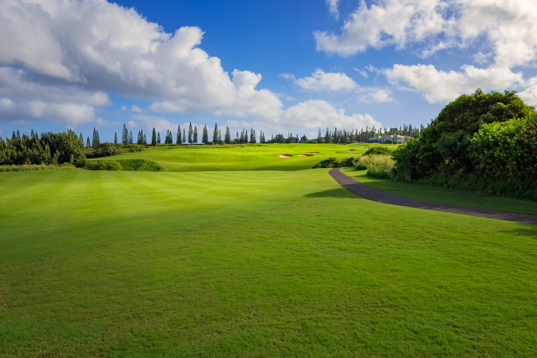 Kapalua Plantation with fairway trees