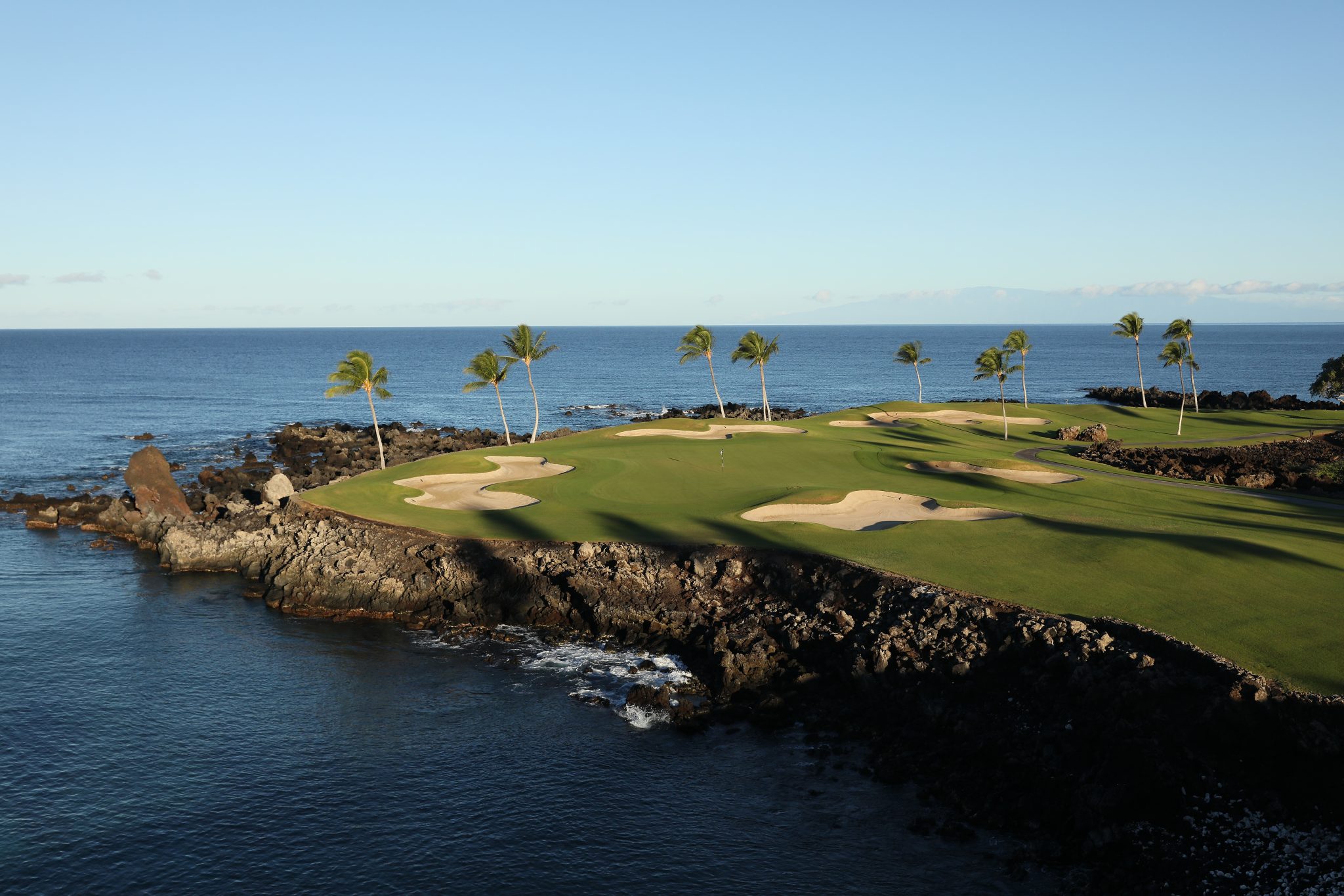 Palm trees on golf course