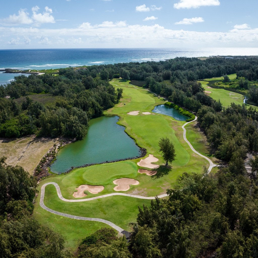 Aerial view of Turtle Bay