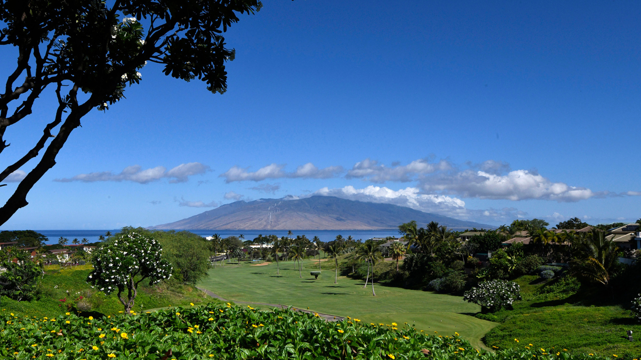 Wailea Blue